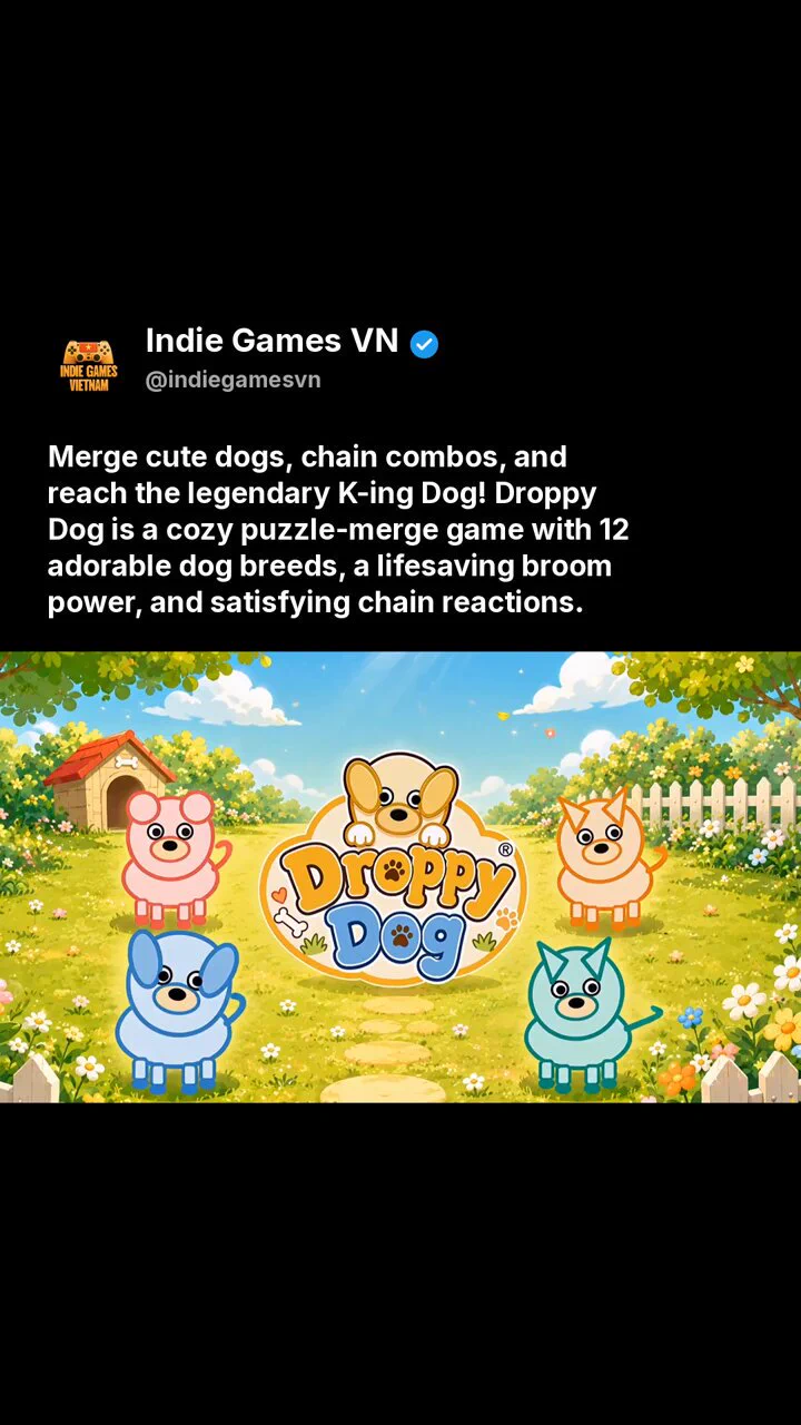 DROPPY DOG
